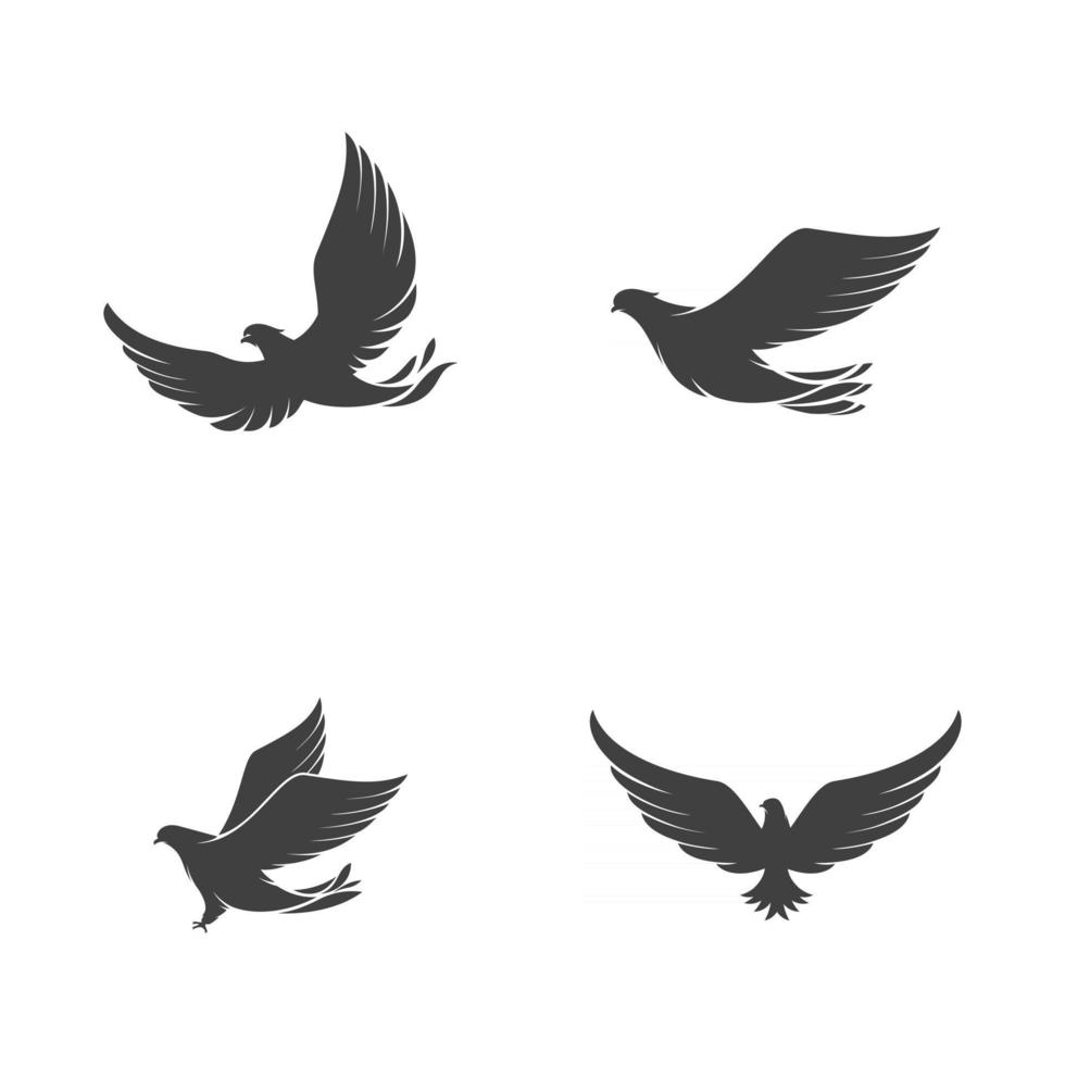 Falcon wing icon Template vector