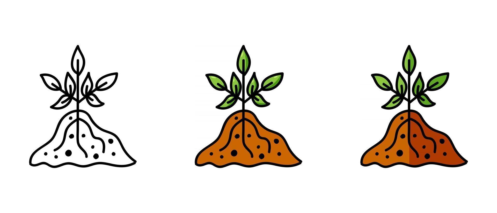 Contour and color symbols of the seedling vector