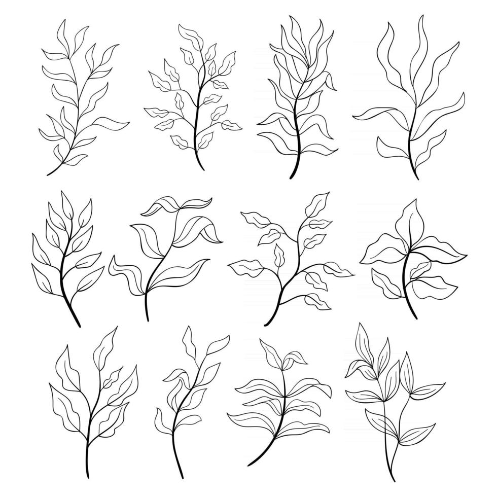 Elegant branches line art. Summer plants. vector