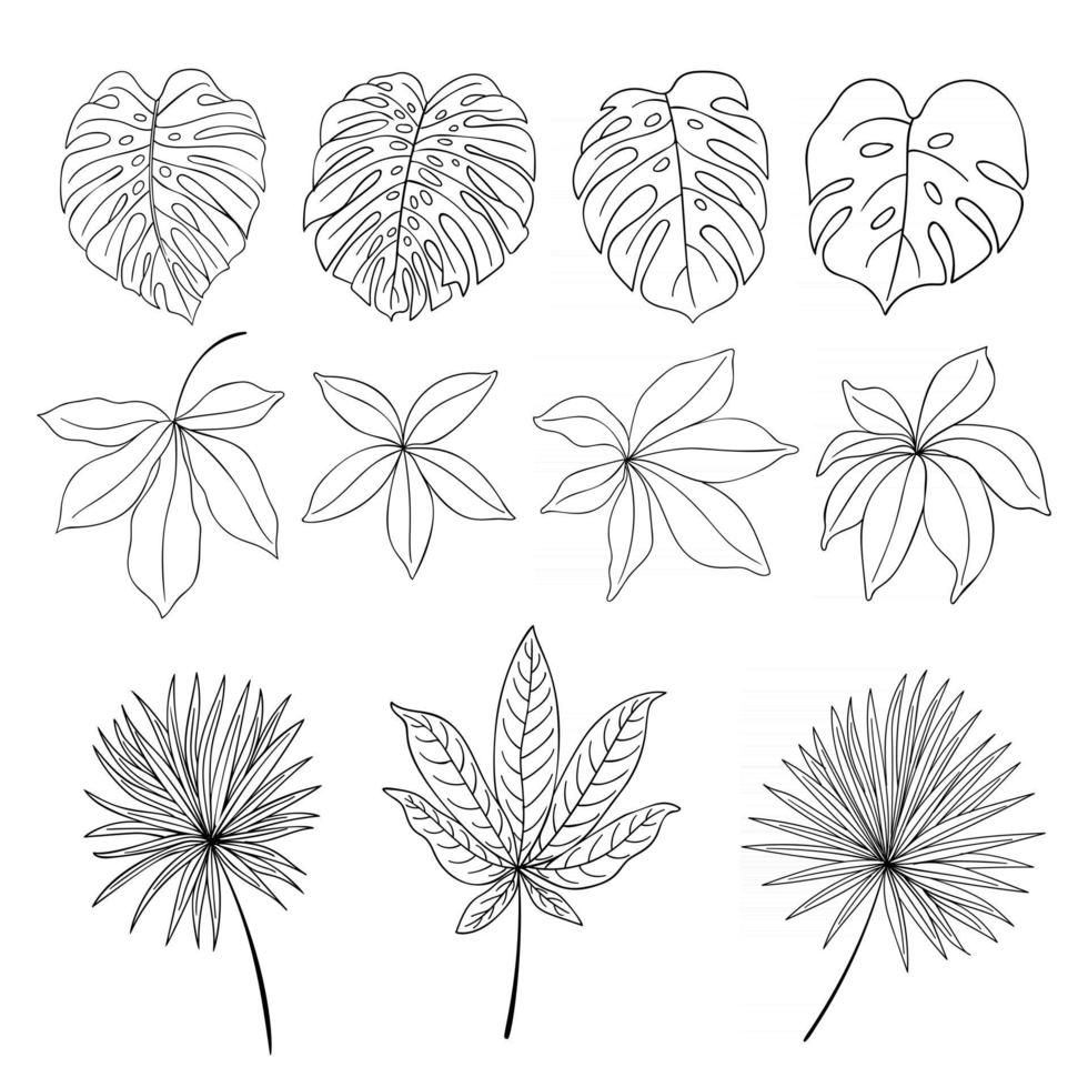Monstera and exotic plants lline art vector