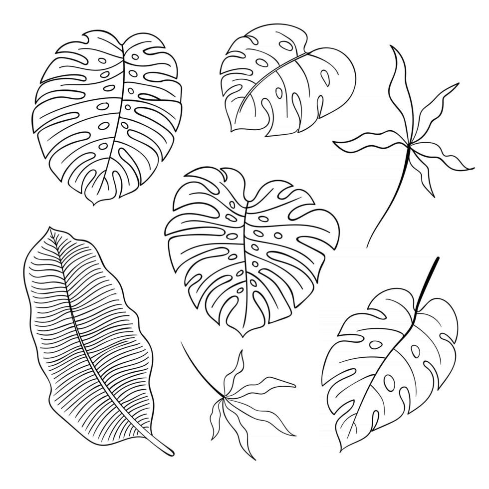 Collection of summer plants line art vector