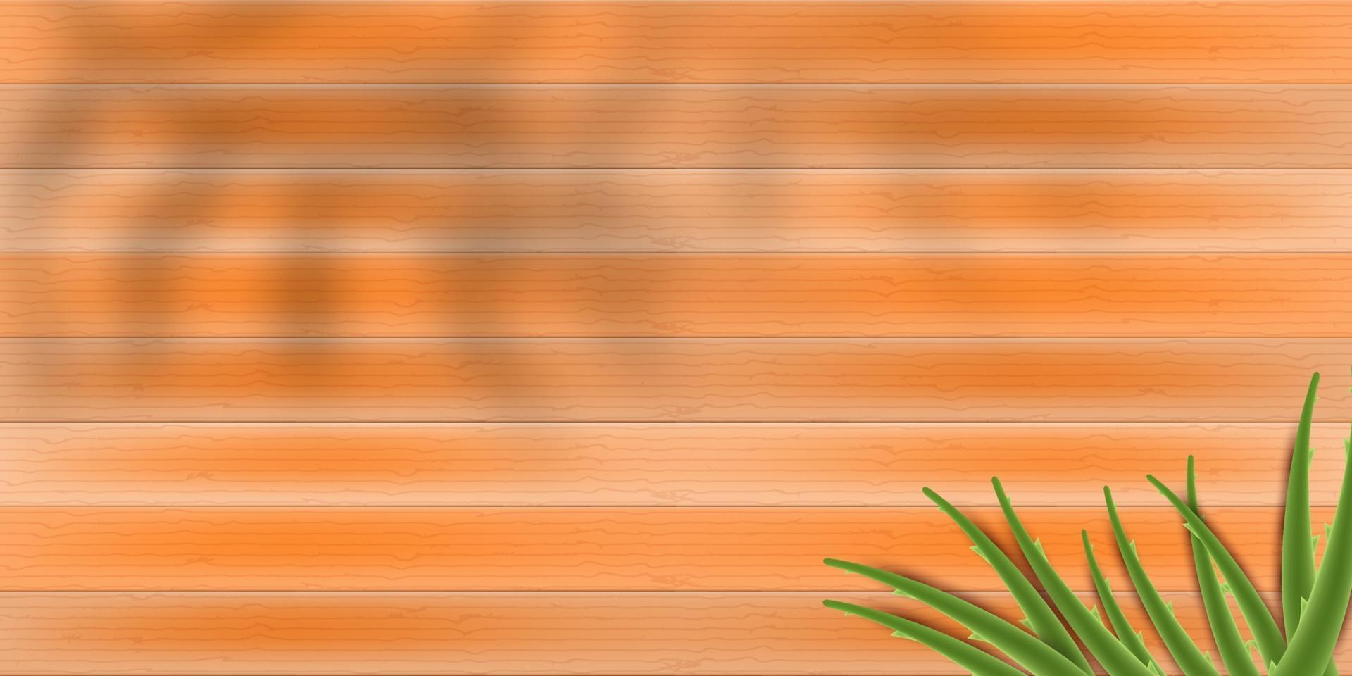 fondo de madera con aloe vera vector