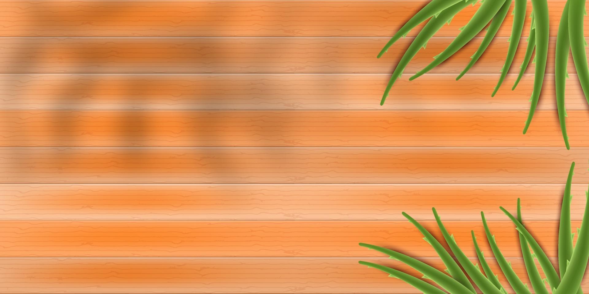 wooden background with aloe vera vector