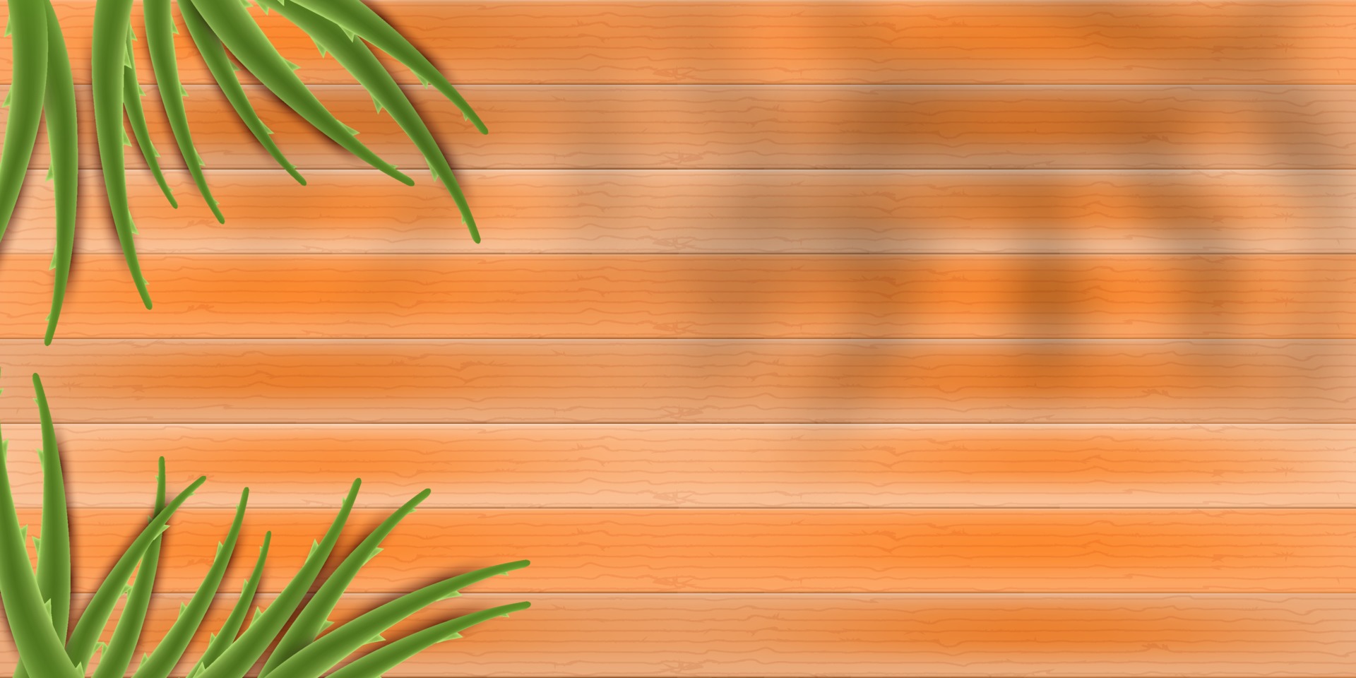 wooden background with aloe vera 2730446 Vector Art at Vecteezy