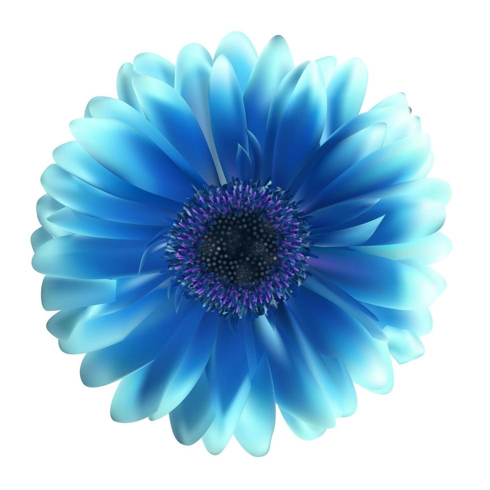 Gerbera Flower Background Vector Illustration