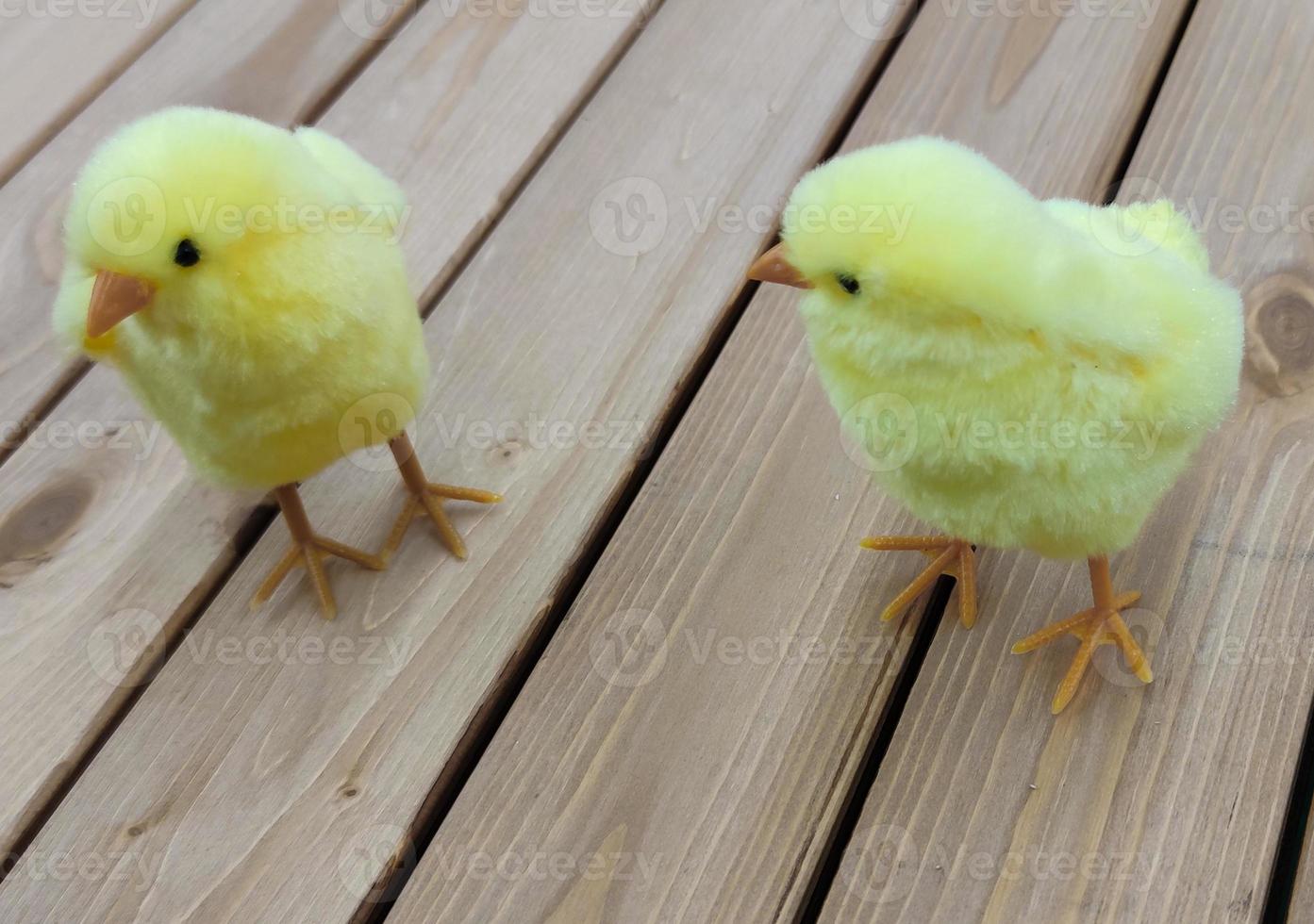 Two Easter yellow toy chicken stand on the boards. photo