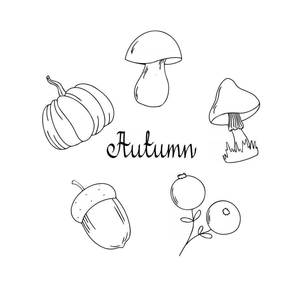 Set of autumn plant elements. Mushrooms, pumpkin, acorn berries isolated on white background in sketch outline style. Hand drawn black and white vector collection with lettering autumn