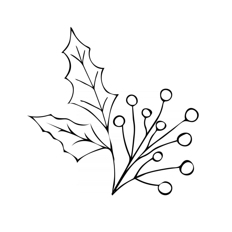 Mistletoe branch isolated on white background. Vector illustration in hand drawn doodle style. Christmas decorative branch icon