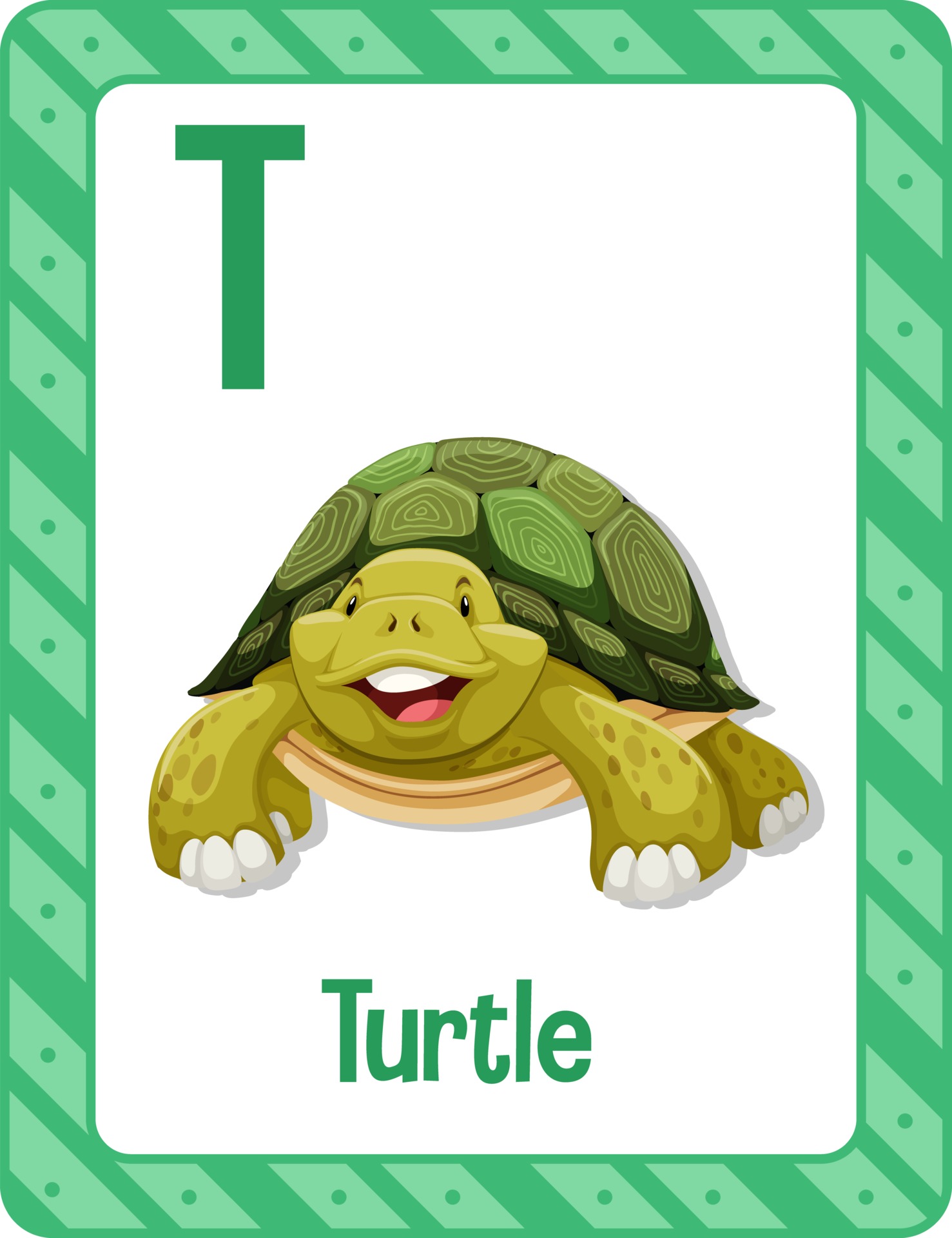 Alphabet flashcard with letter T for Turtle 2732396 Vector Art at Vecteezy