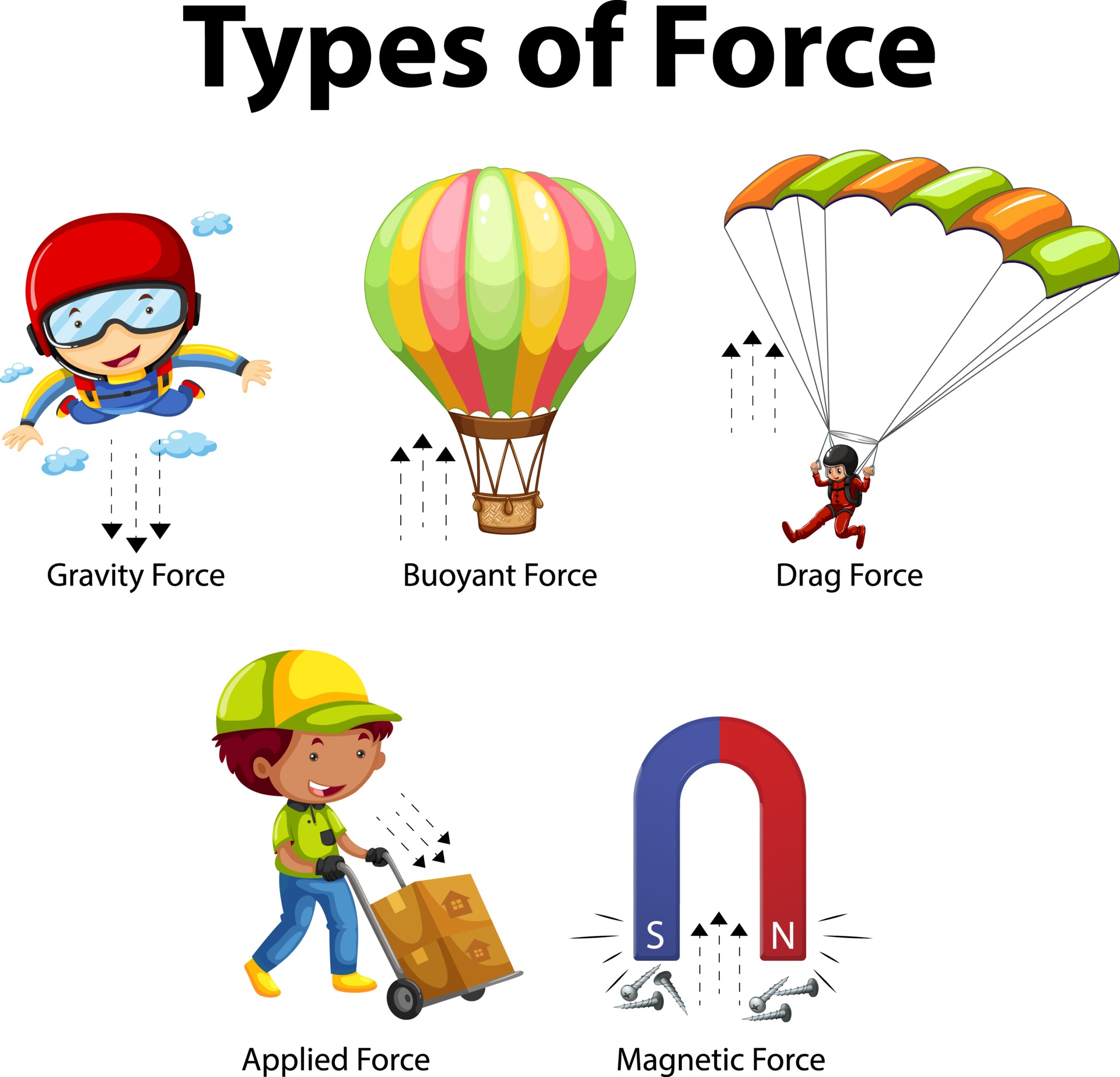 types of forces homework