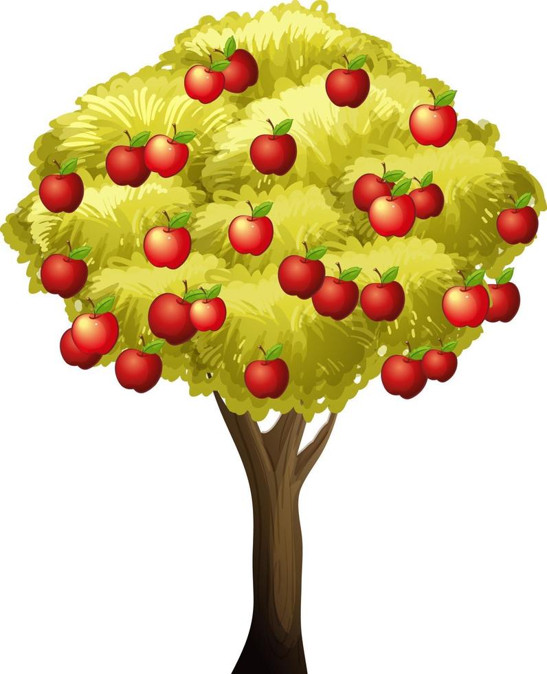 Apple tree isolated on white background vector