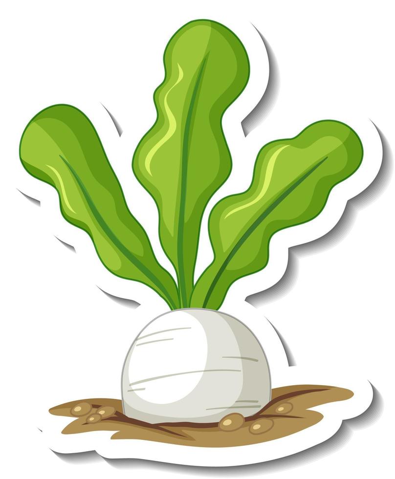 Sticker template with white radish in underground isolated vector