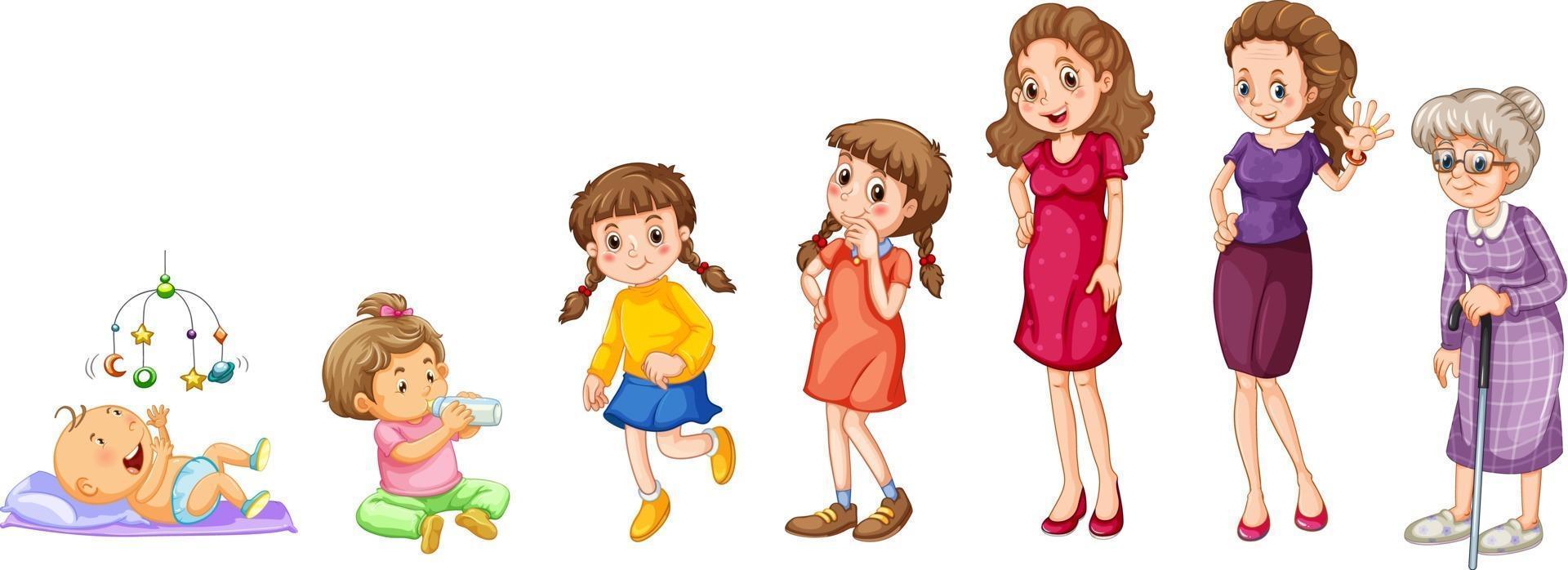Steps of female growing up vector