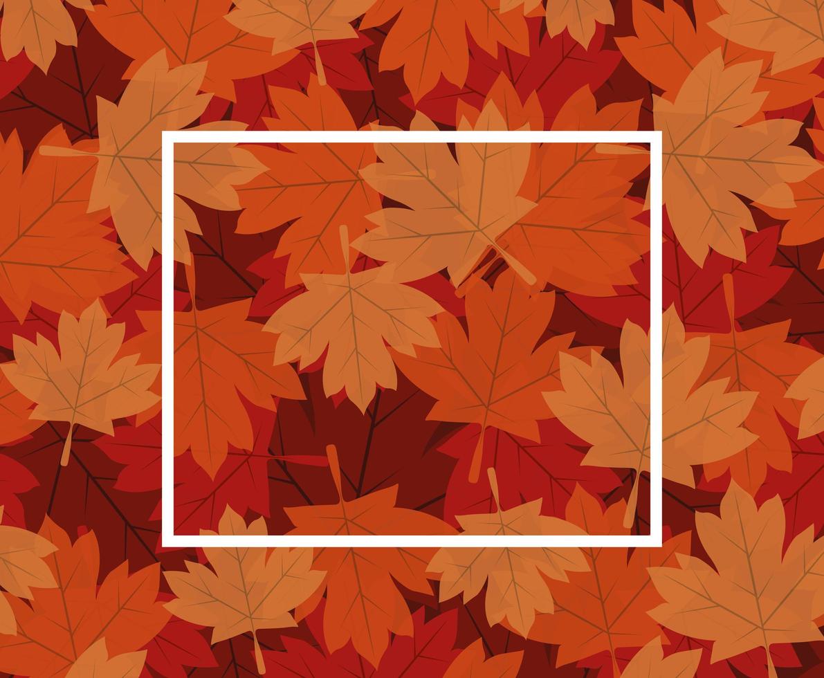 Autumn maple leaves frame vector design