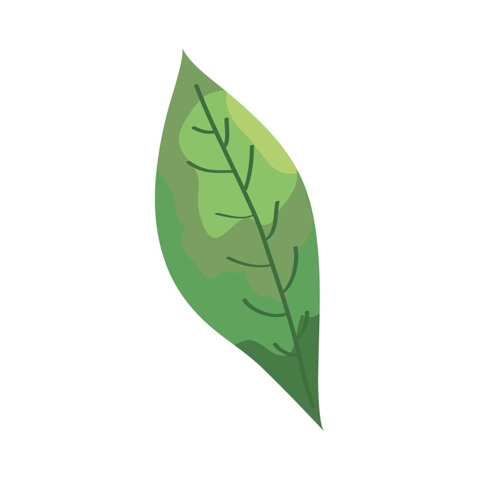 icono aislado de la ecología de la planta de hoja vector