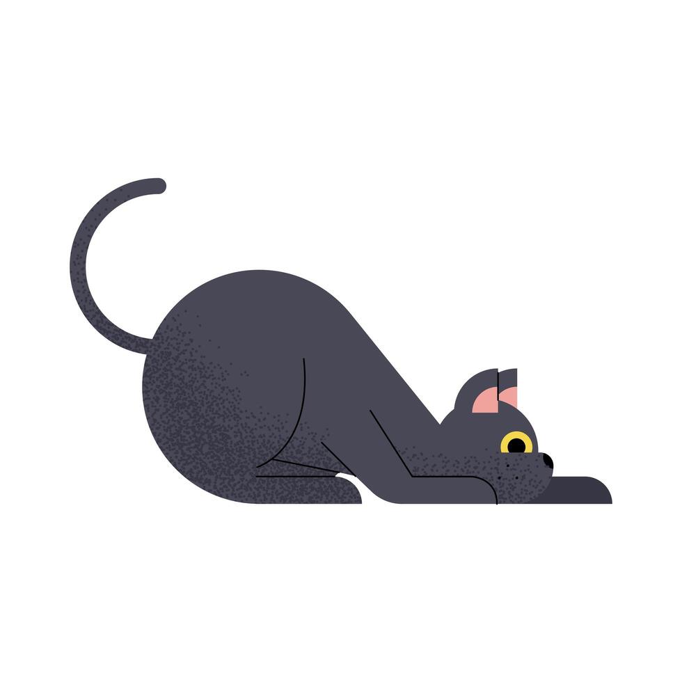 black cat mascot vector