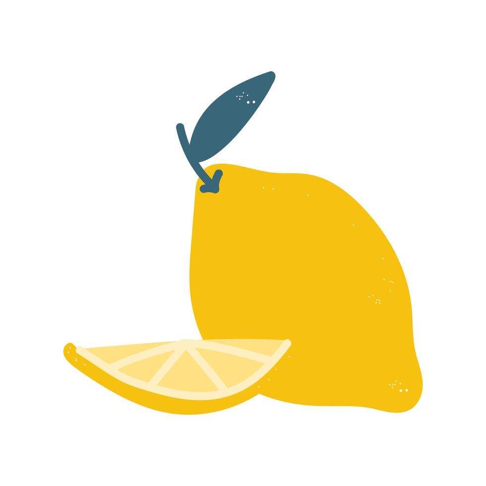 orange citrus fruit vector