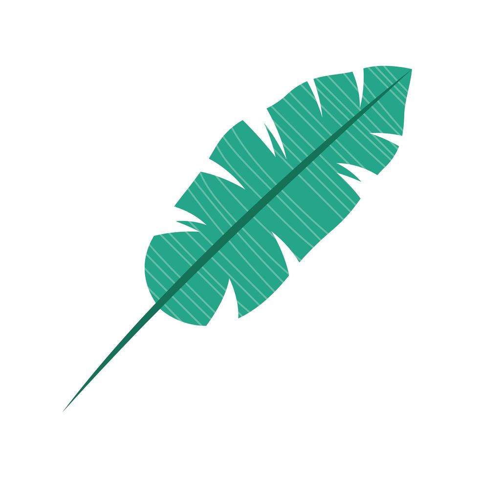 exotic leave palm vector