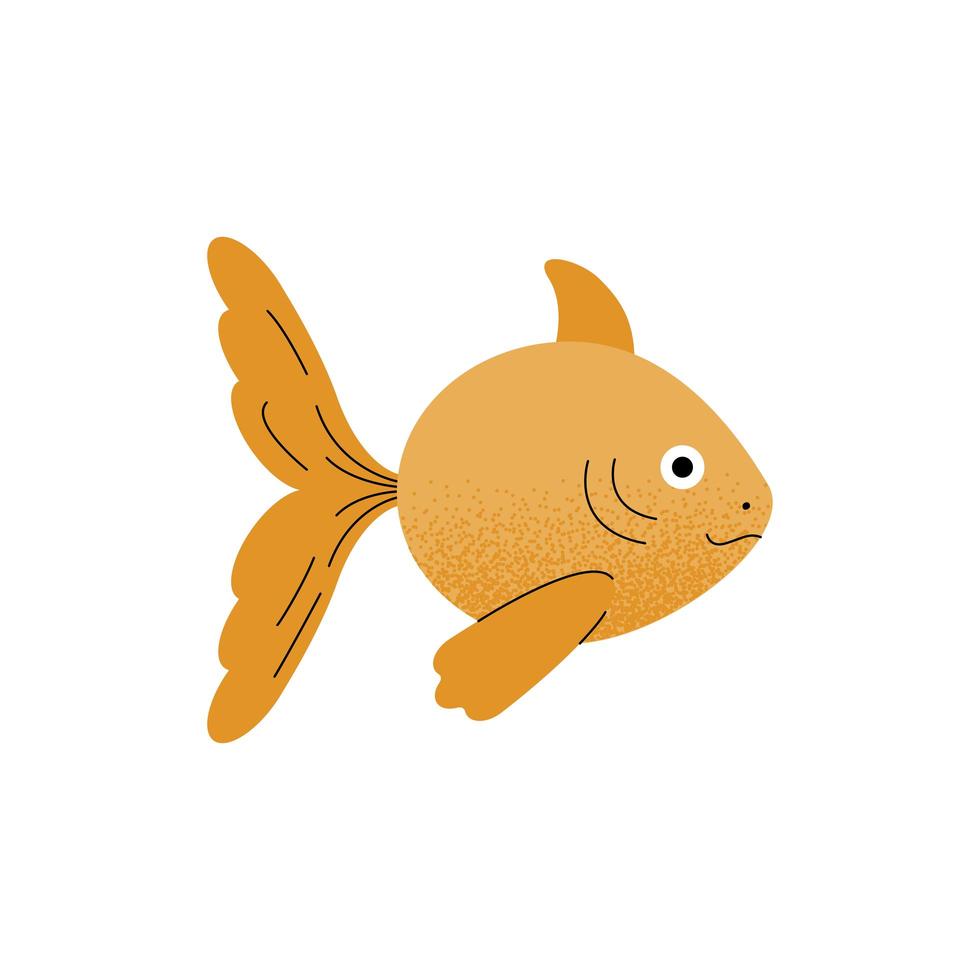 fish pet animal vector