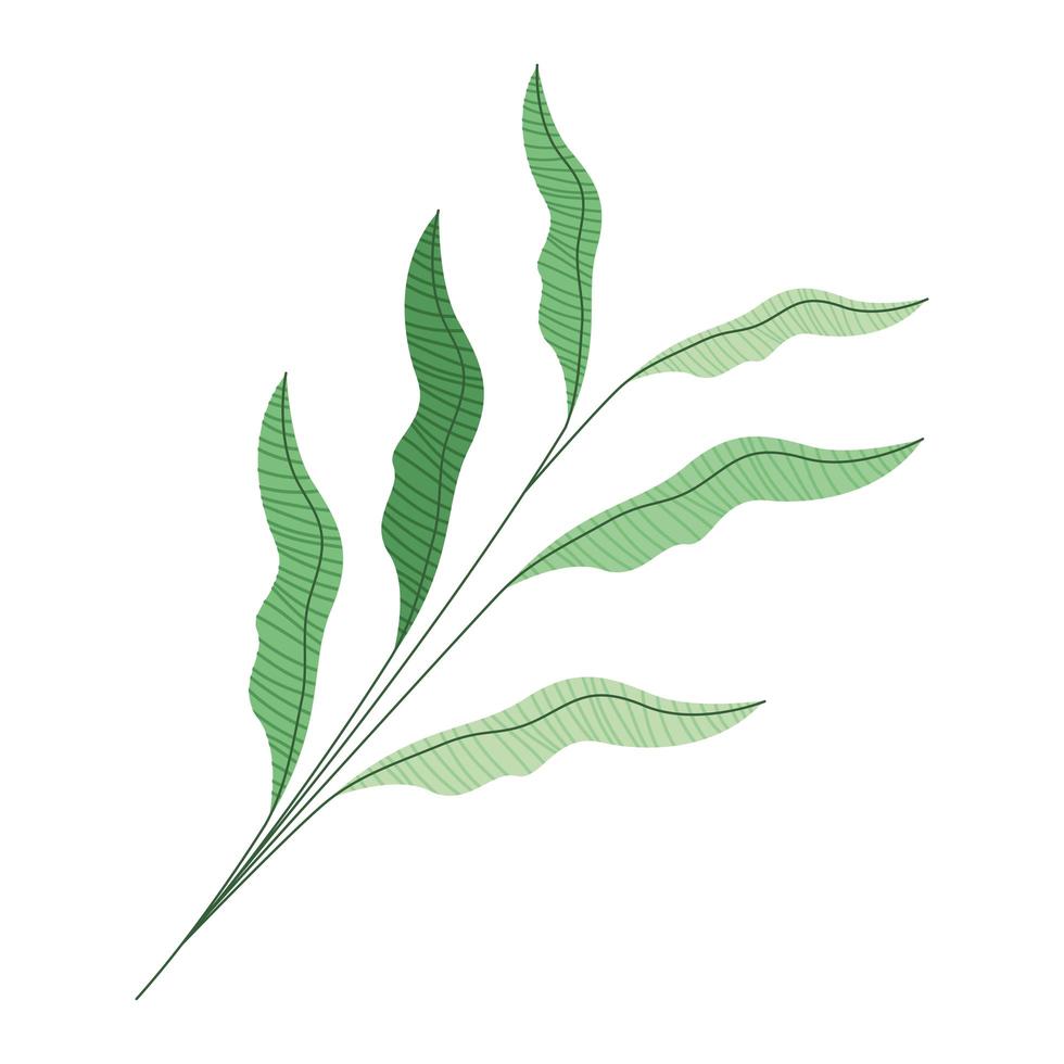 rama con hojas vector