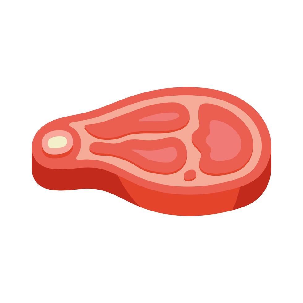 beef steak meat vector