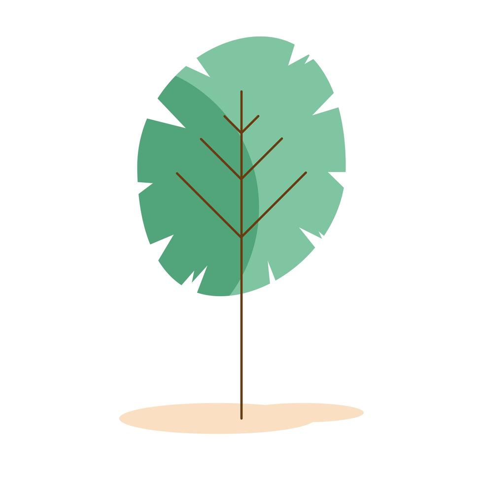 árbol planta naturaleza vector