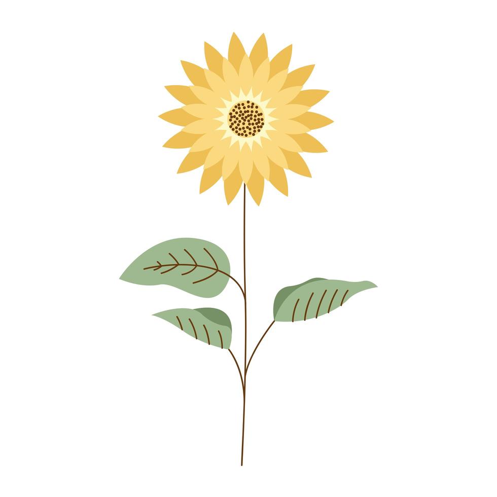 cute sunflower icon vector