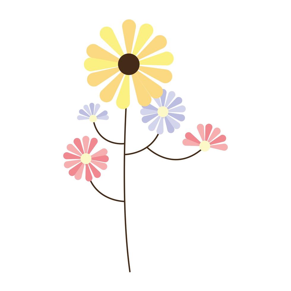 cute colors flowers vector