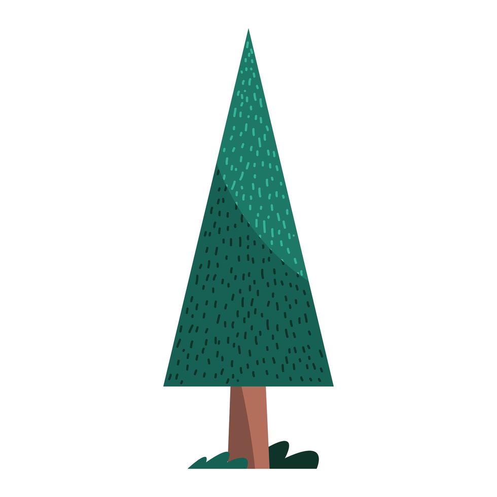 pine tree plant nature isolated icon vector