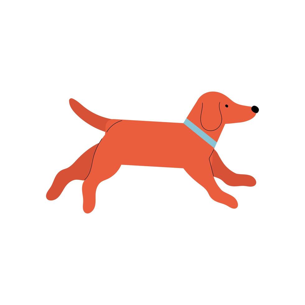 dog pet mascot isolated icon vector