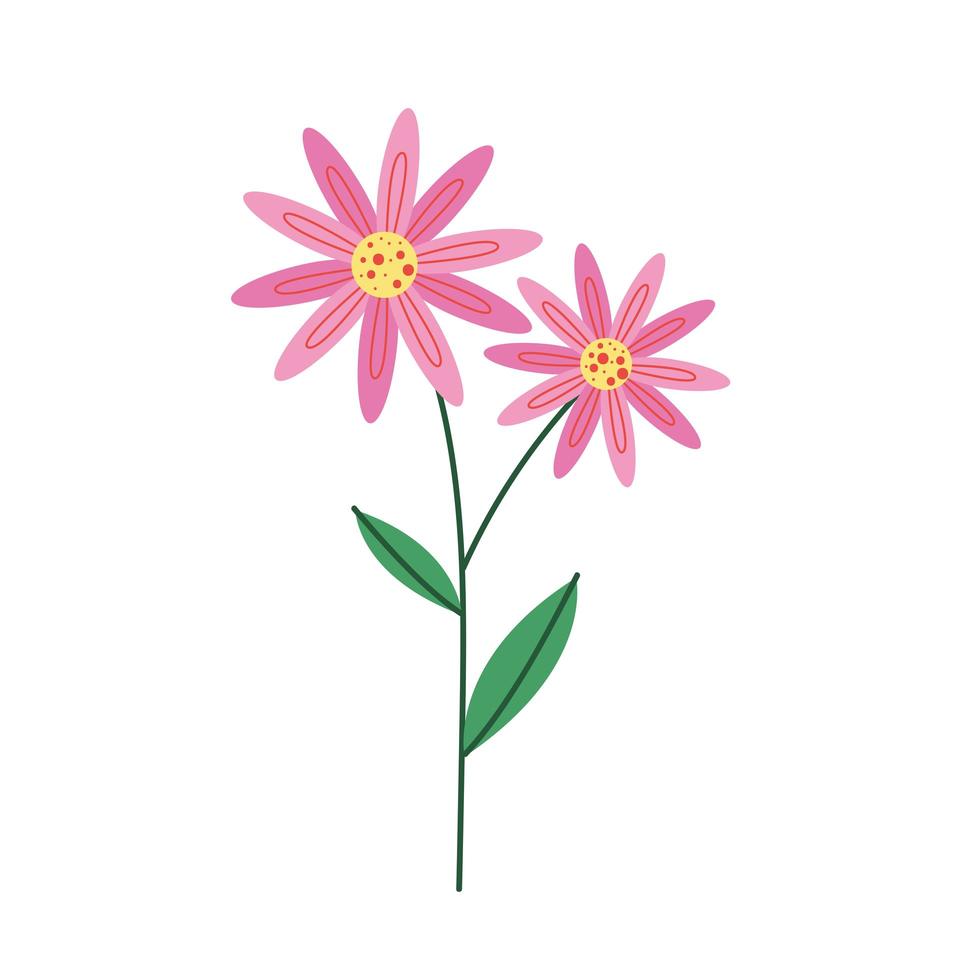pink petals flowers nature icon vector