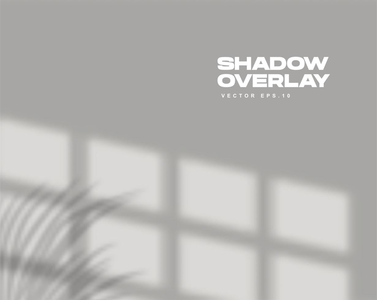 Shadow Overlay Scene vector