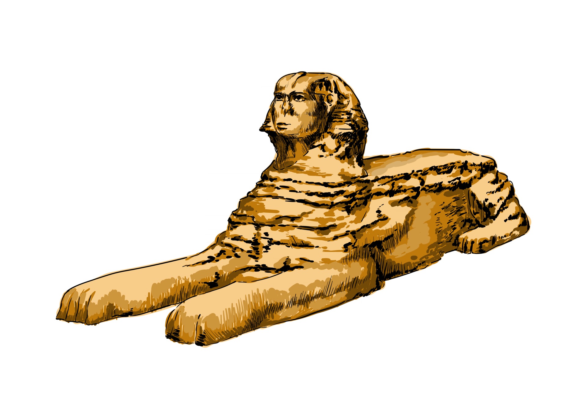 Sphinx Drawing