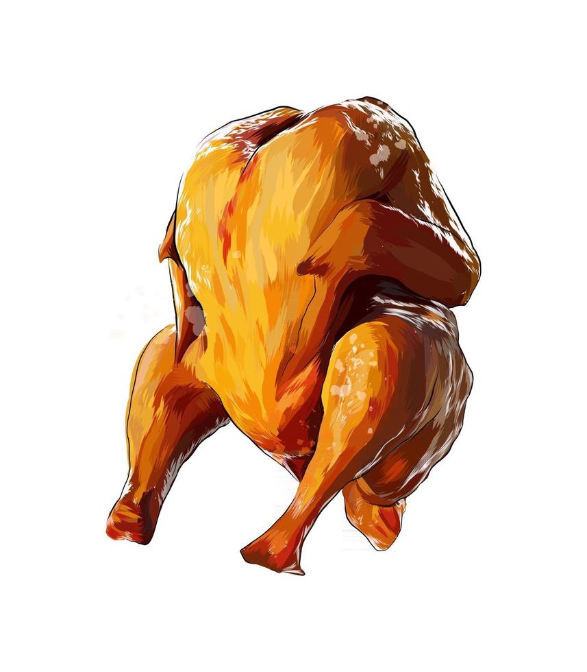 Fried whole chicken from a splash of watercolor, colored drawing, realistic. Vector illustration of paints