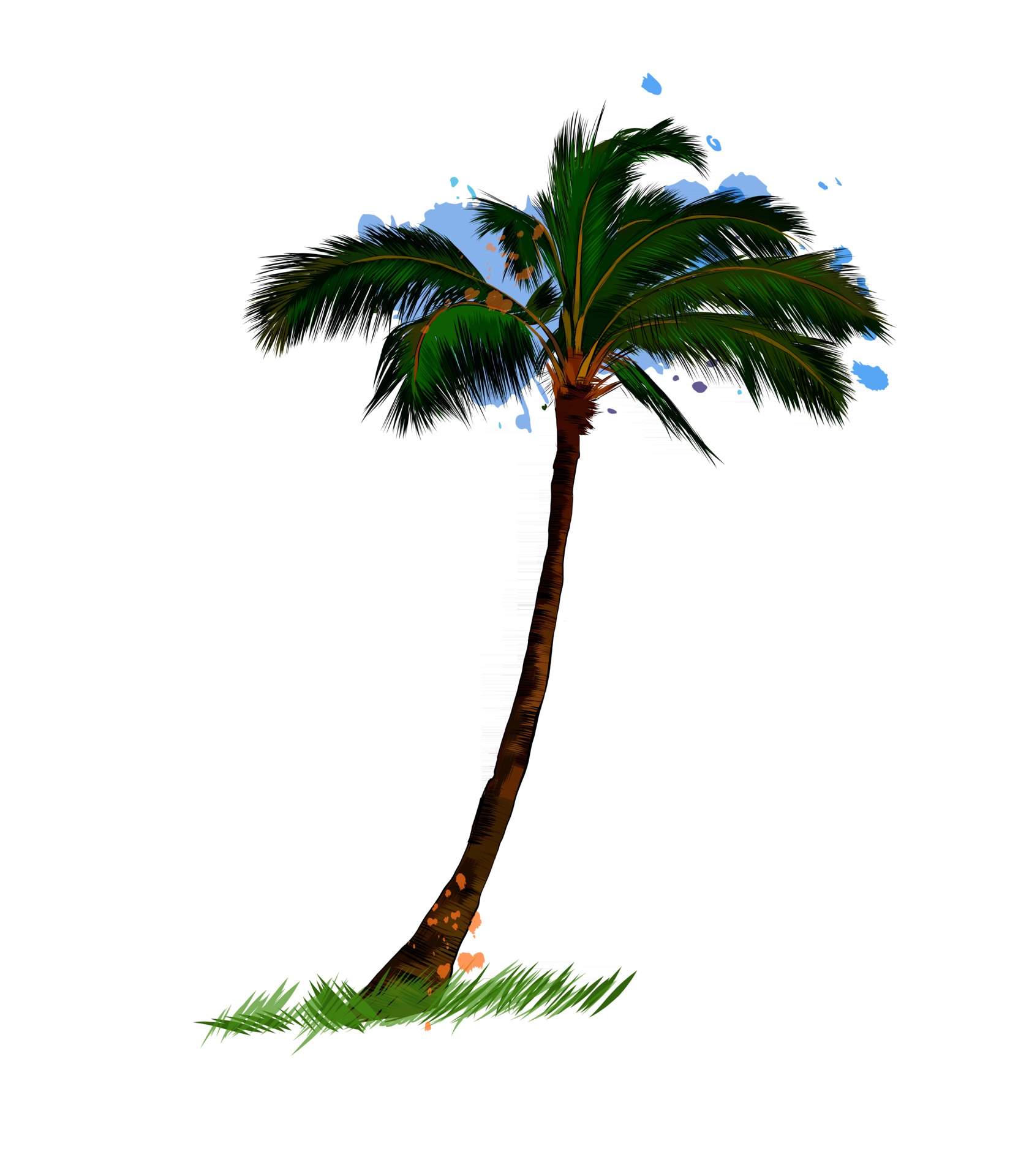 Palm, tropical tree from a splash of watercolor, colored drawing