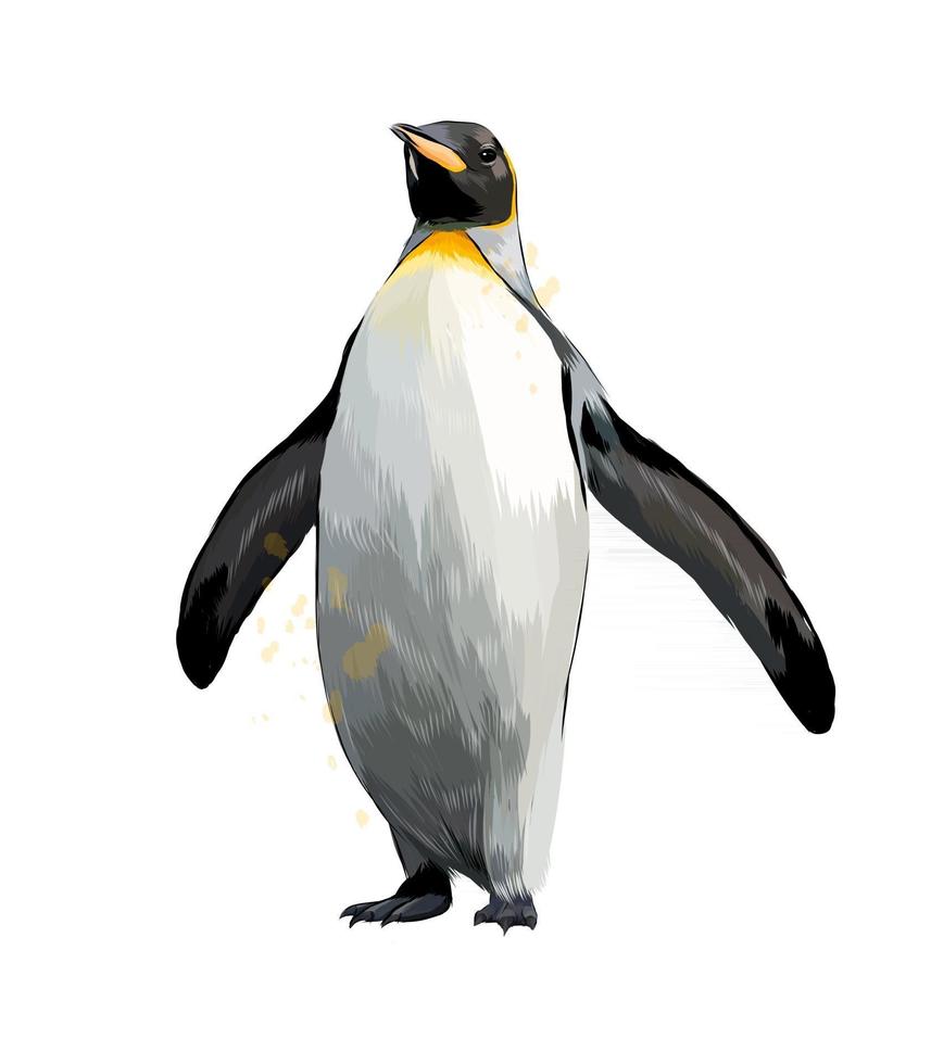 pingüino emperador de un toque de acuarela, dibujo coloreado, realista. ilustración vectorial de pinturas vector