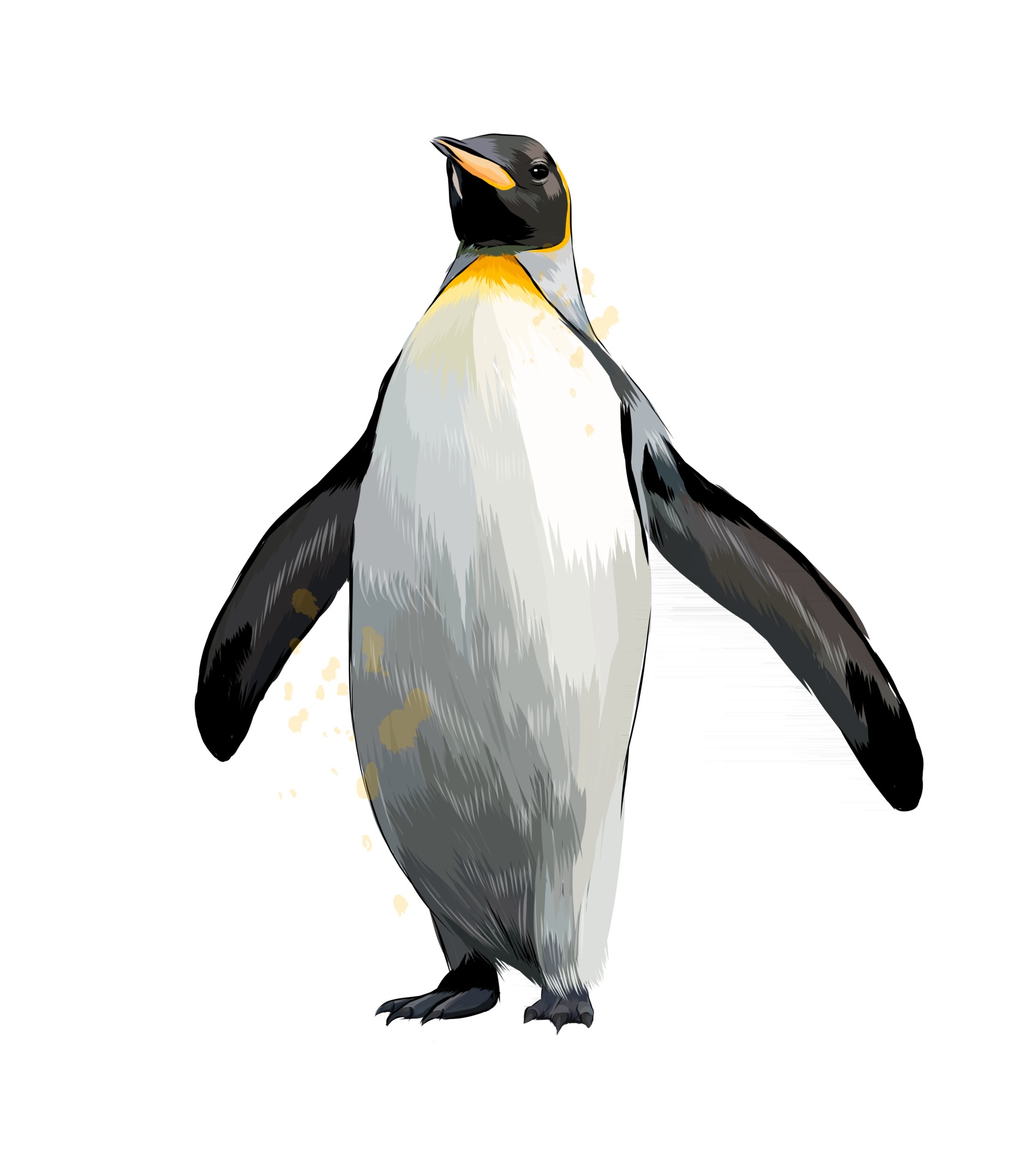 Emperor penguin from a splash of watercolor, colored drawing, realistic.  Vector illustration of paints 2735583 Vector Art at Vecteezy