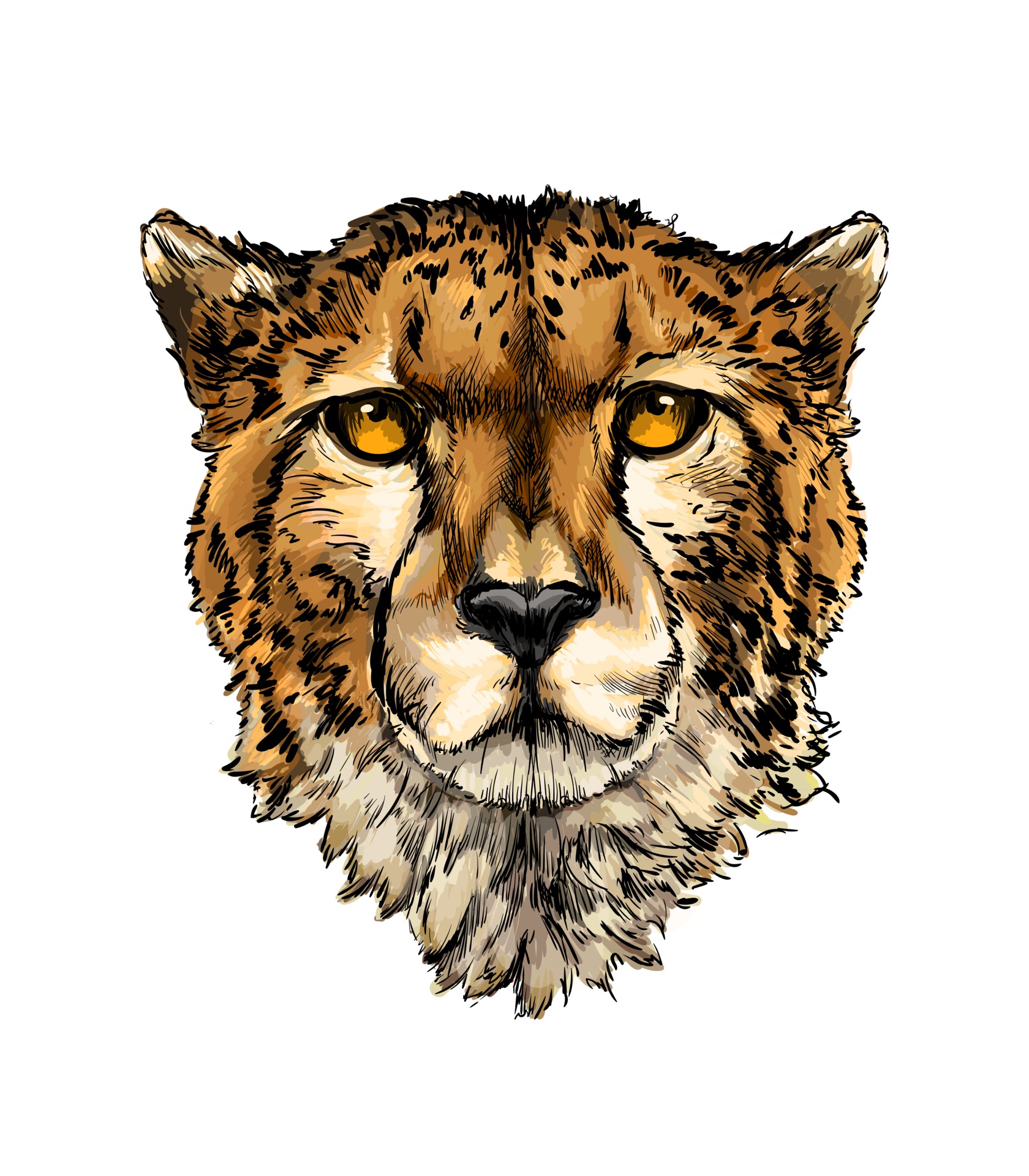 Realistic Cheetah Drawings