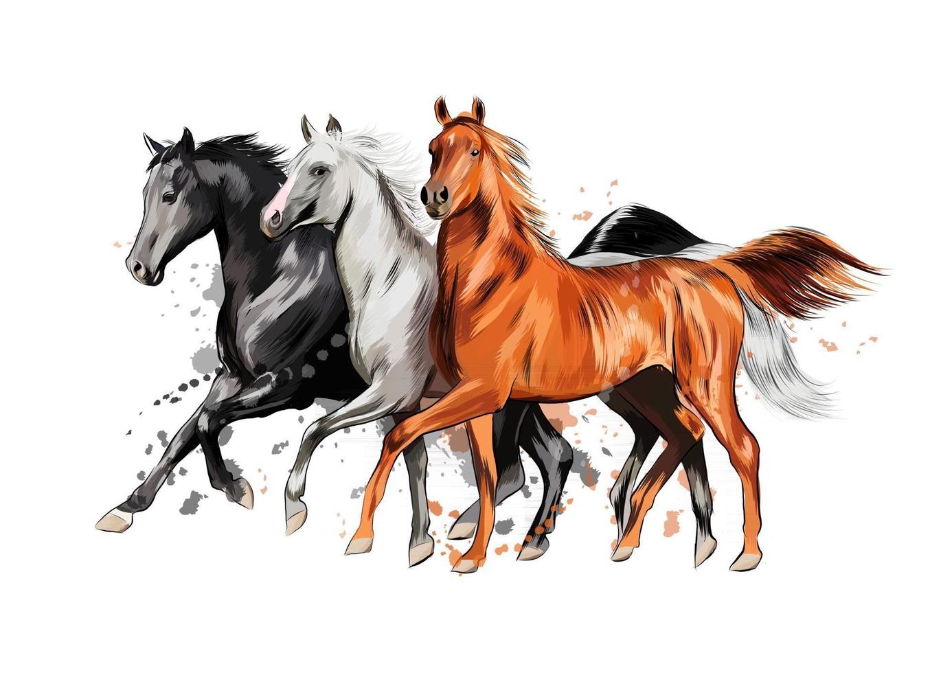 Three horses run gallop from a splash of watercolor, hand drawn sketch. Vector illustration of paints