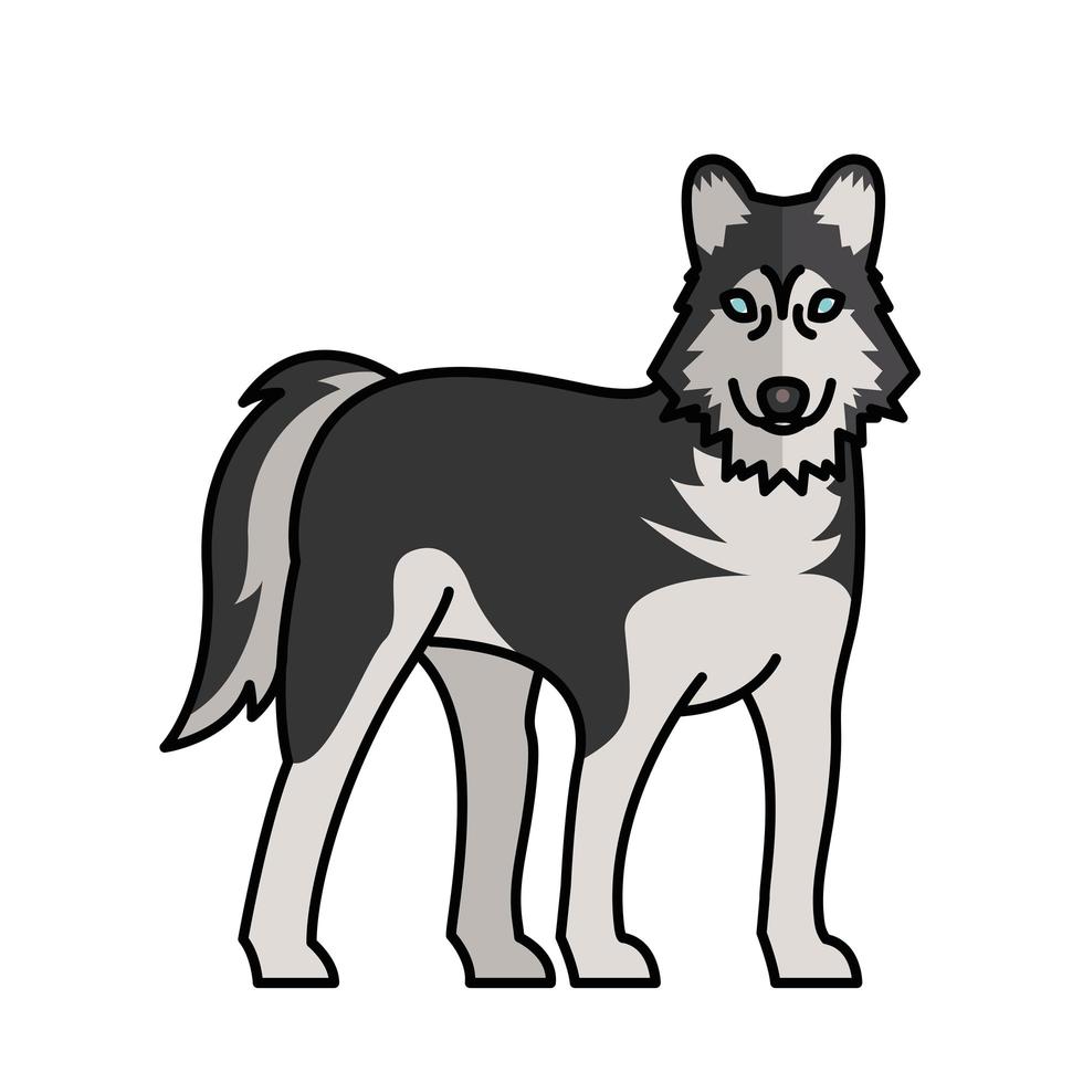 perro lobo siberiano mascota mascota personaje de raza vector