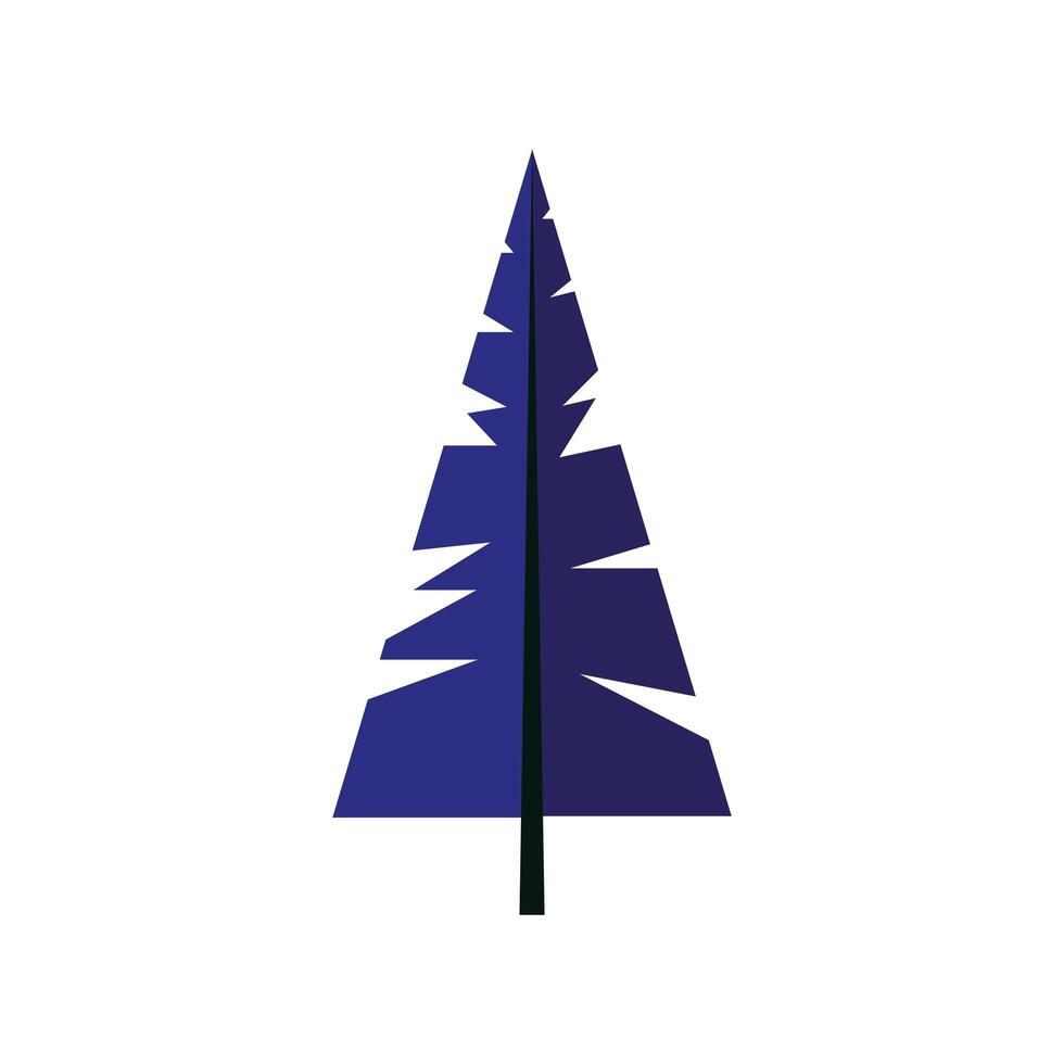 pine tree forest isolated icon vector