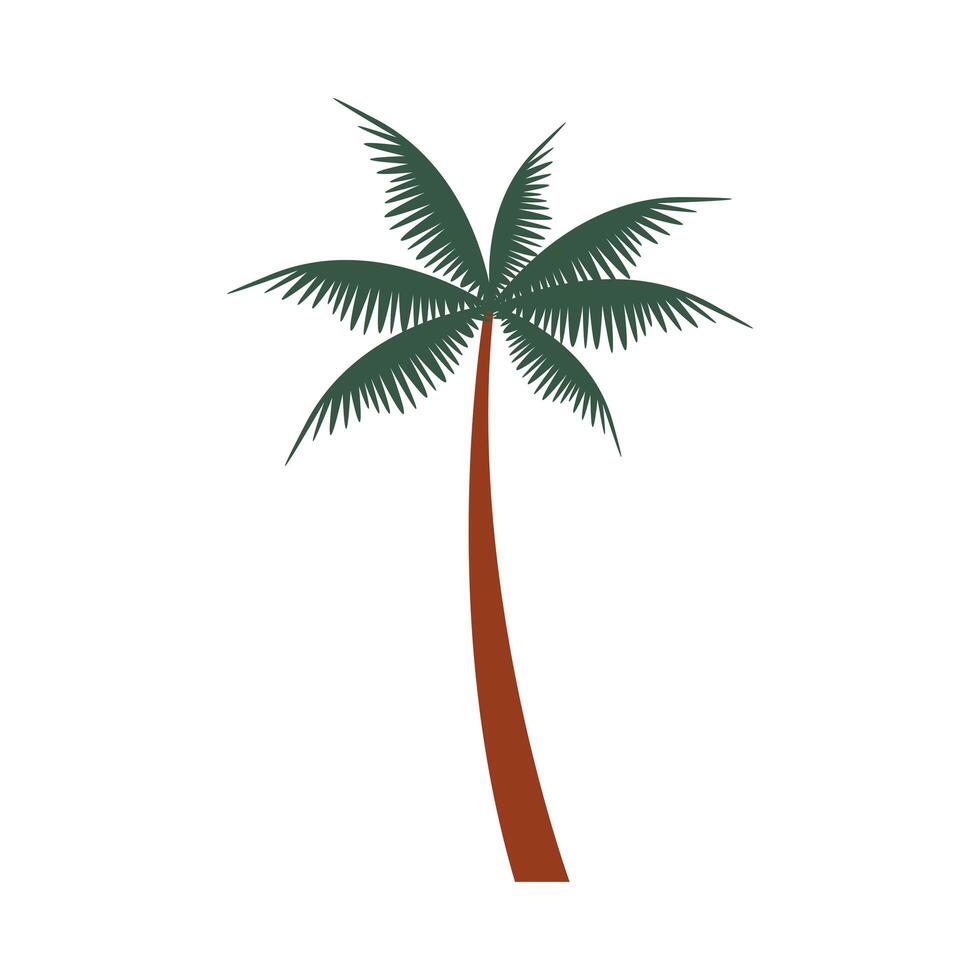 Icono de naturaleza de palmera tropical de árbol vector