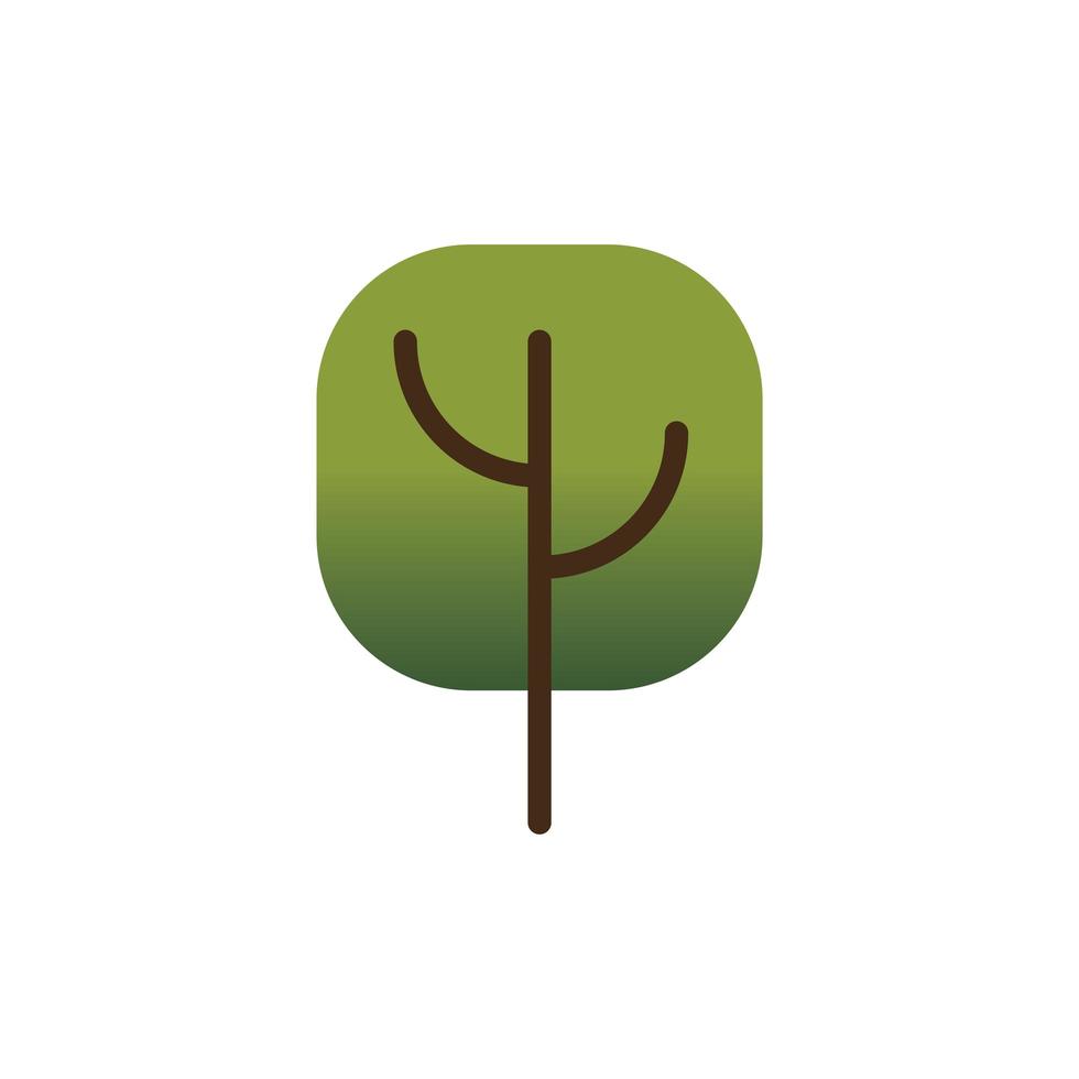icono aislado de bosque de planta de árbol verde vector