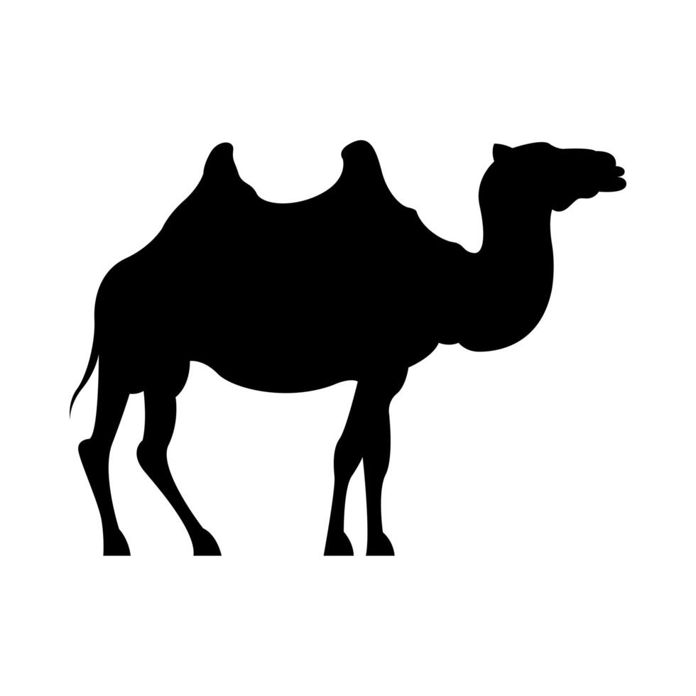 dromedary animal silhouette isolated icon vector