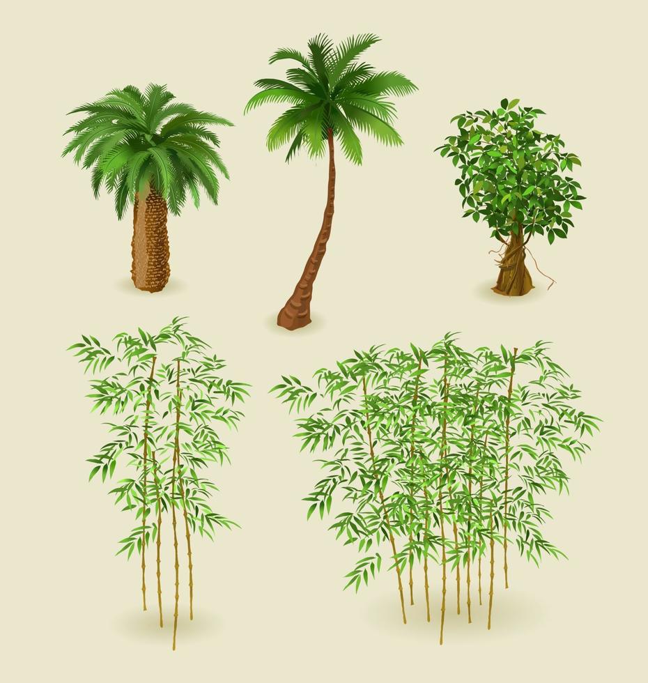 Tropical plants and bamboo on a light background for interior design in isometric. Vector illustration