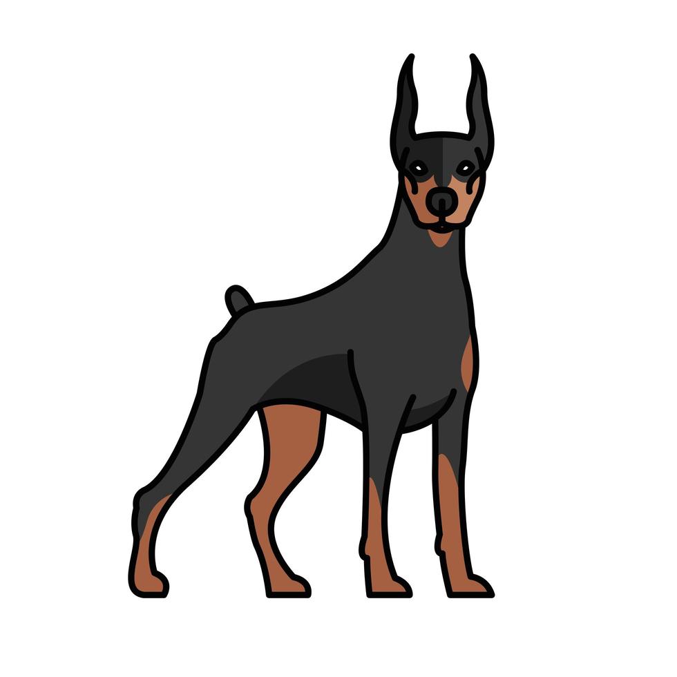 Doberman perro mascota mascota personaje de raza vector