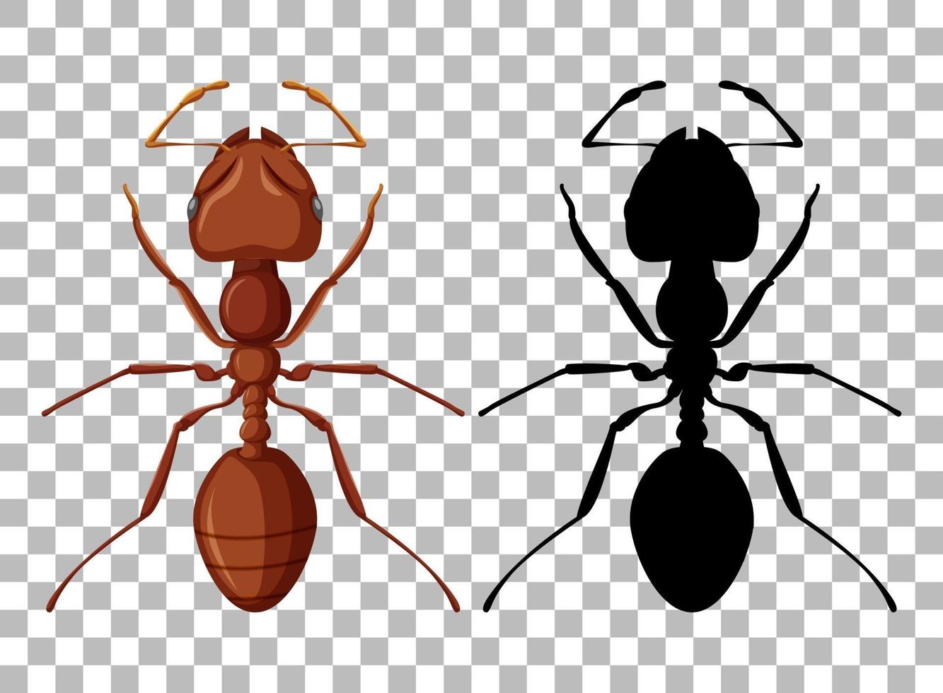 conjunto de hormigas aislado vector