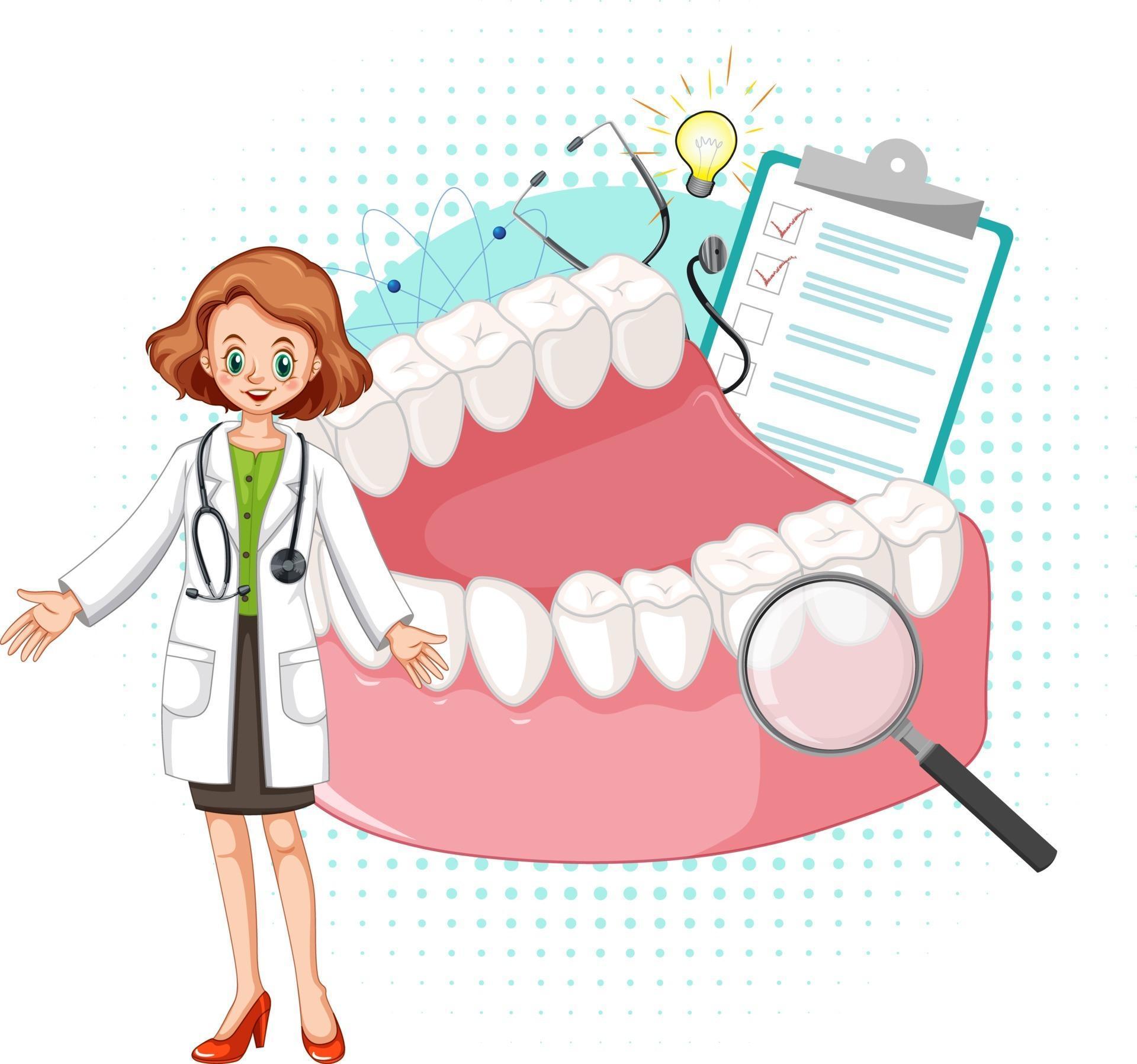 Dentist and teeth model on white background 2737216 Vector Art at Vecteezy