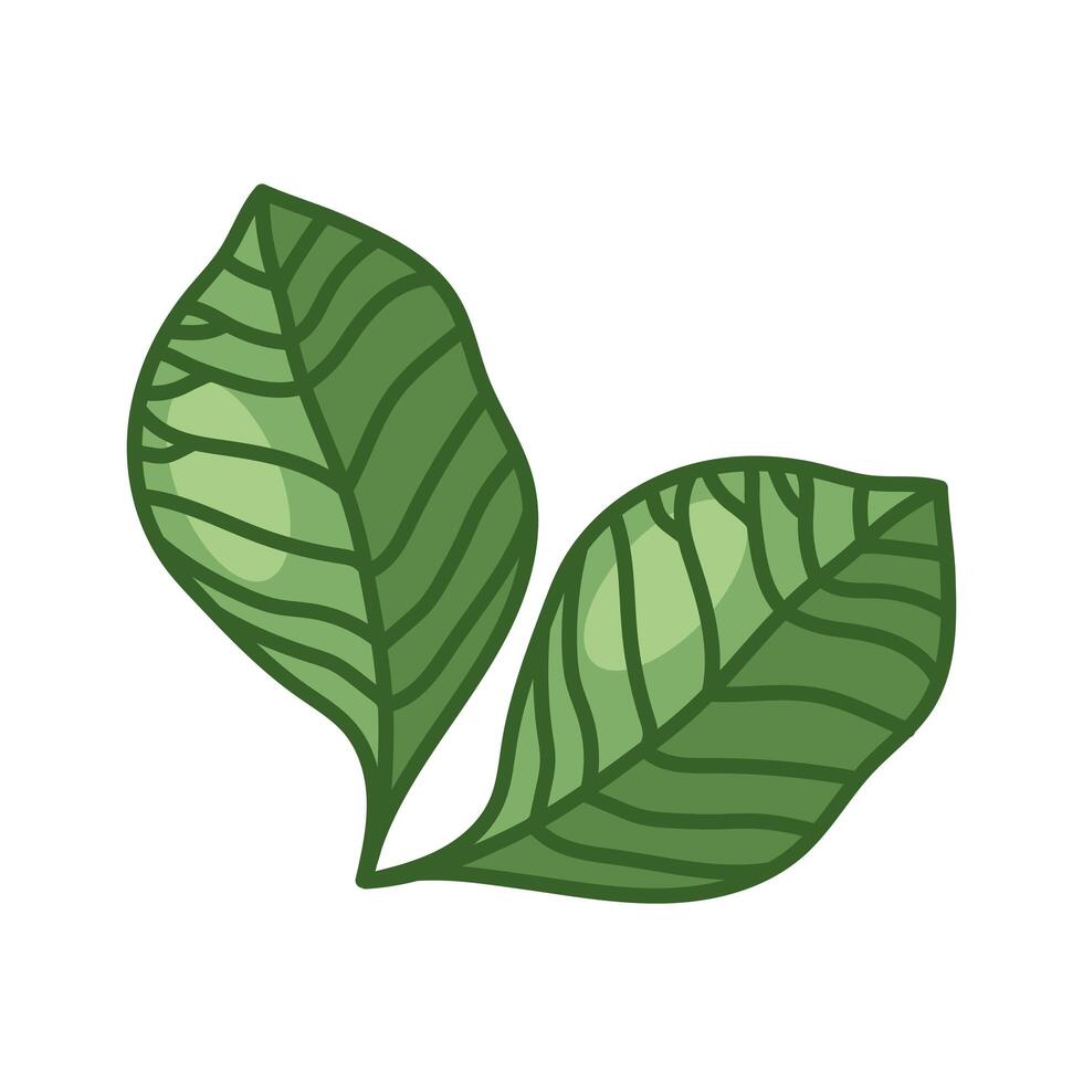 two leaves line and fill style icon vector design