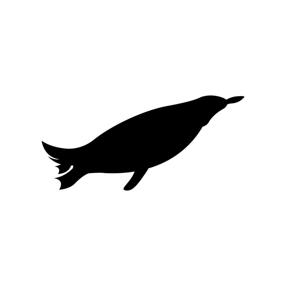 Isolated penguin animal vector design